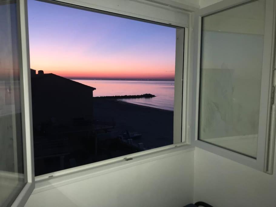 Estudio 1Ere Ligne Vue Mer ,Place De Parking Privee Acces A La Plage De La Residence 3Eme Etage Палава-ле-Фло Екстериор снимка